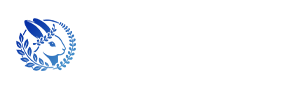 うさぎアセット
